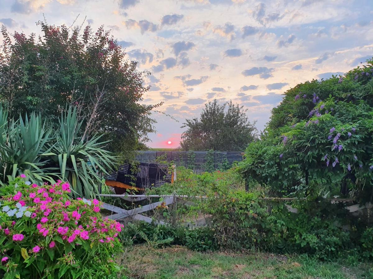 La Planquette Villa Saint-Laurent-de-Medoc ภายนอก รูปภาพ
